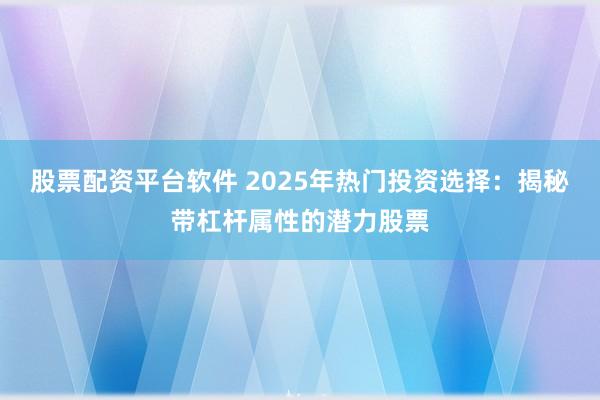 股票配资平台软件 2025年热门投资选择：揭秘带杠杆属性的潜力股票