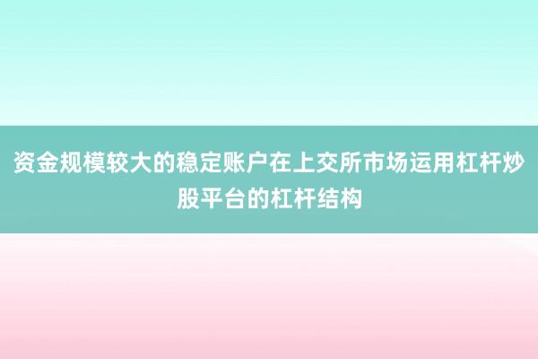 资金规模较大的稳定账户在上交所市场运用杠杆炒股平台的杠杆结构
