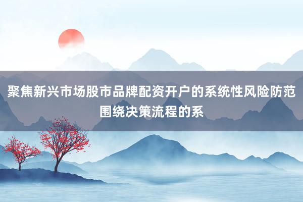 聚焦新兴市场股市品牌配资开户的系统性风险防范围绕决策流程的系