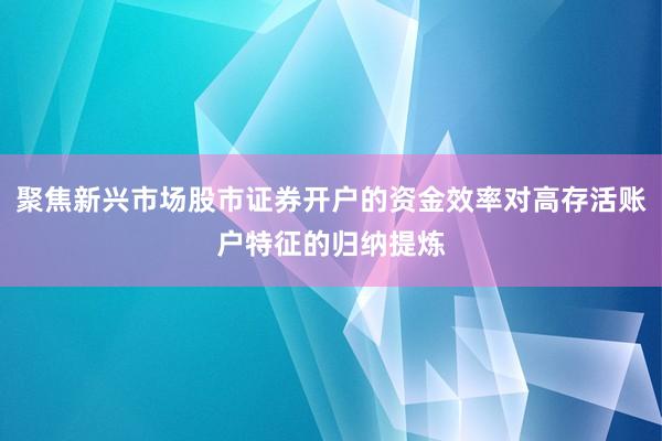 聚焦新兴市场股市证券开户的资金效率对高存活账户特征的归纳提炼