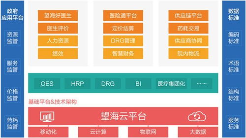 望海康信寻求科创板上市 国内最大的医院erp软件供应商